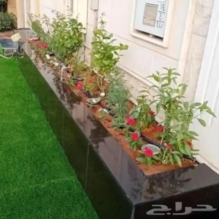 تنسيق حدائق القصيم ثيل طبيعي وصناعي 0