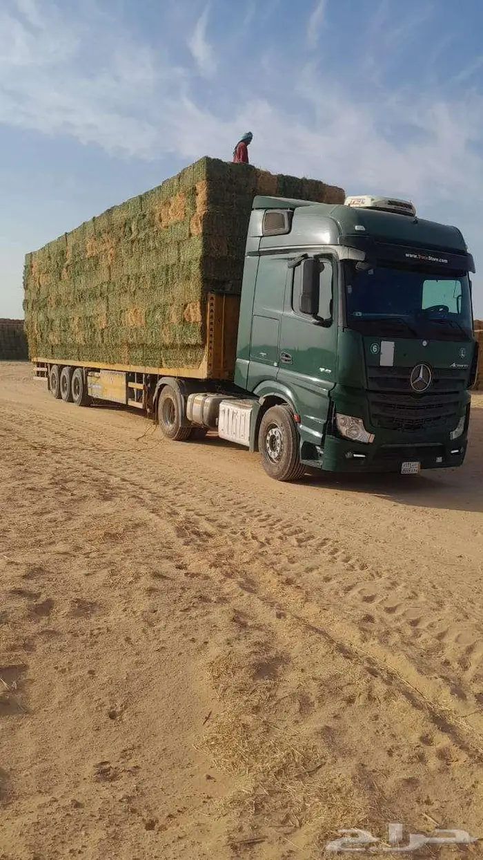 برسيم صافي شد كلاس 3