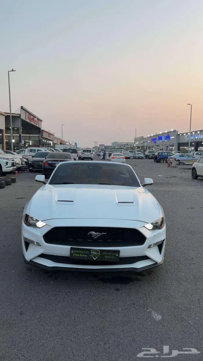فورد موستنق 2020 اصدار 50 عام كشف 3