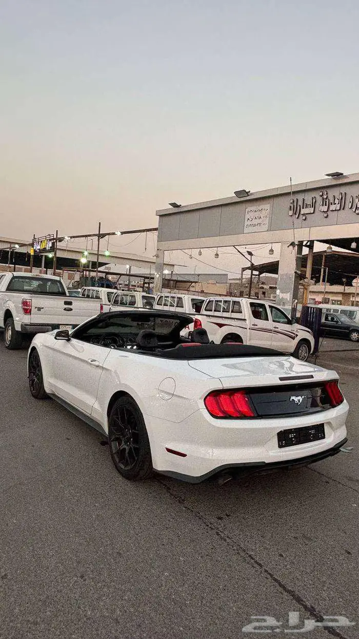 فورد موستنق 2020 اصدار 50 عام كشف 6