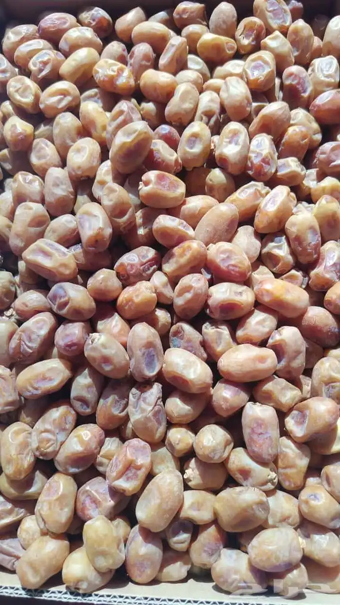 متوفر اخلاص الكميه 5400كرتون موز اسعر 3ريال 0