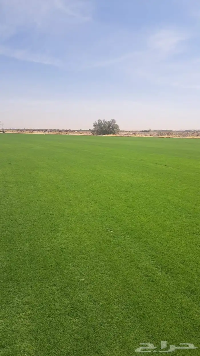 منسق حدائق القصيم 1