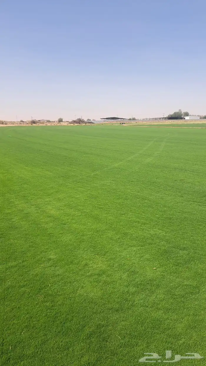 منسق حدائق القصيم 6