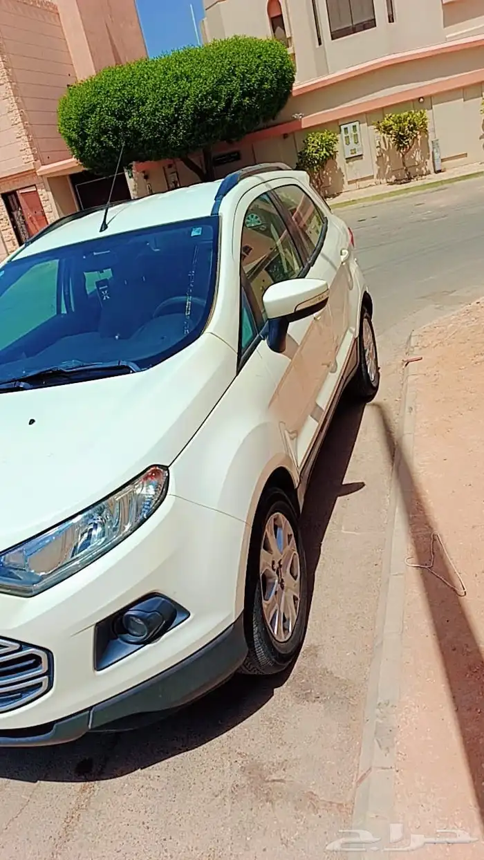 الرياض 2