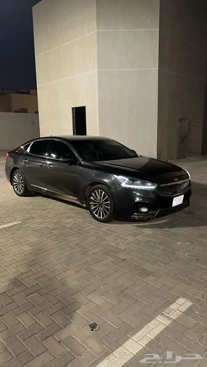 كدنزا 2020 6