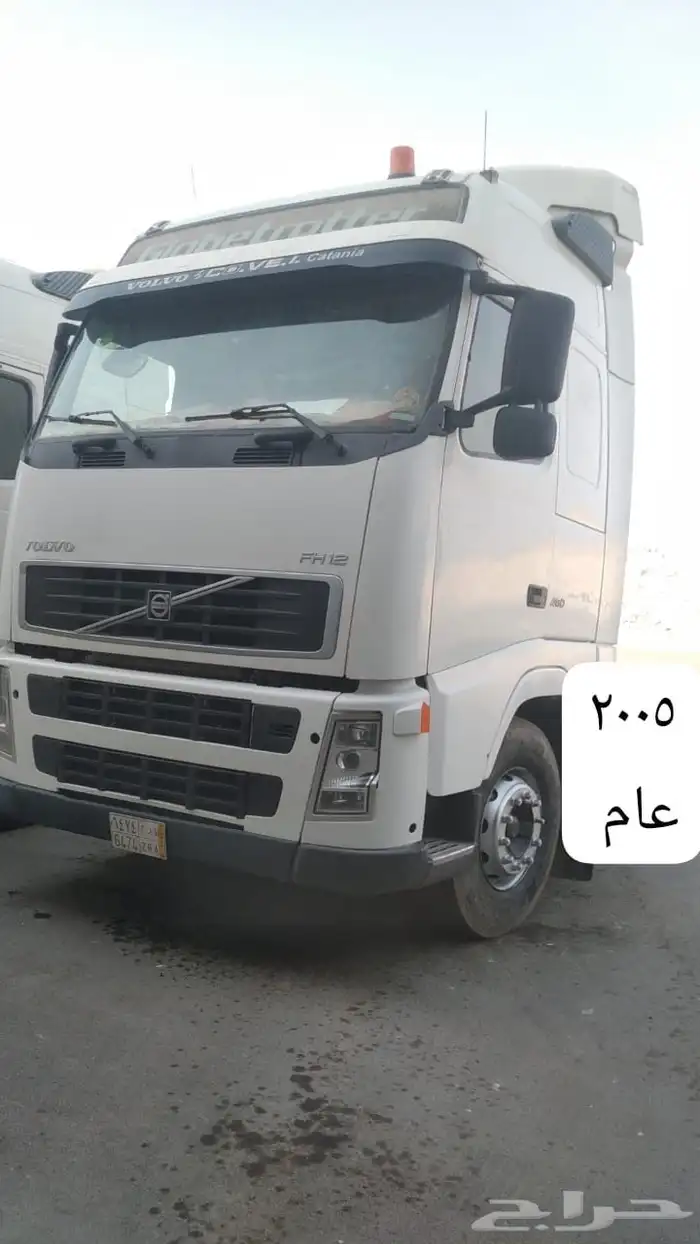 روس فلفو للبيع 4