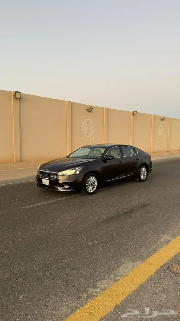 كادينزا 12