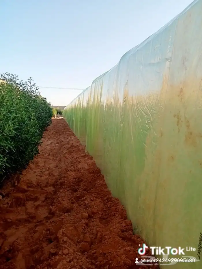 فني بيوت محميه وصلات زراعيه فك وتركيب 053294785 1