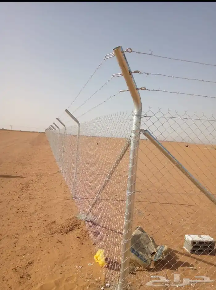 يوجد نخيل للبيع عربي واشنطن 8