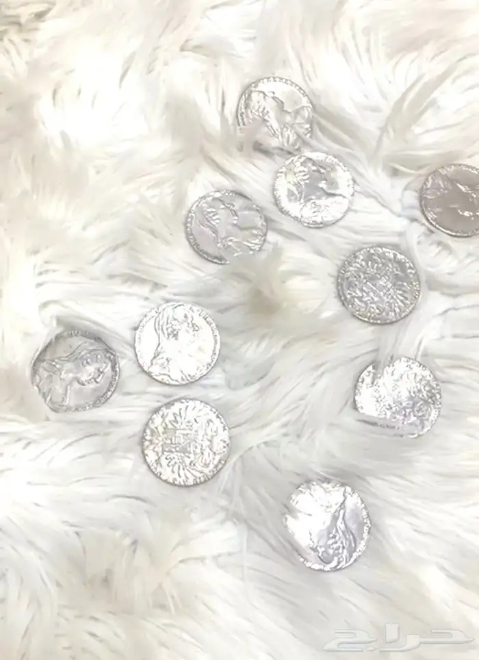 عملات ماري تيريزا 1