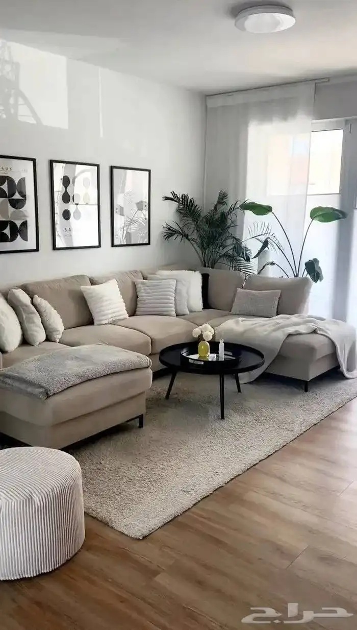 كنب مودرن الهبه الجديده 2