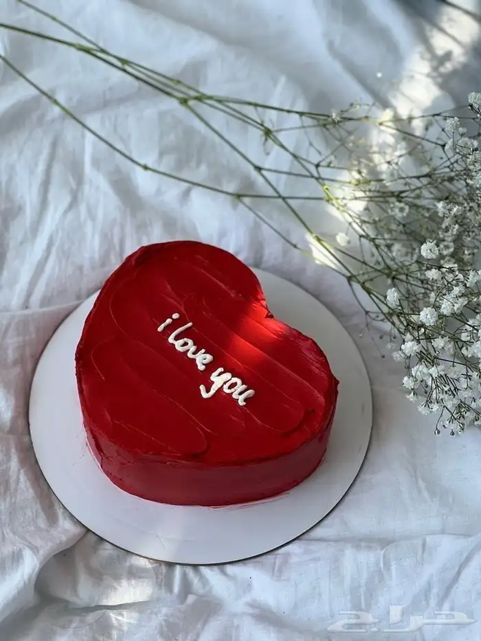كيكات بجميع الاشكال لجميع المناسبات 9