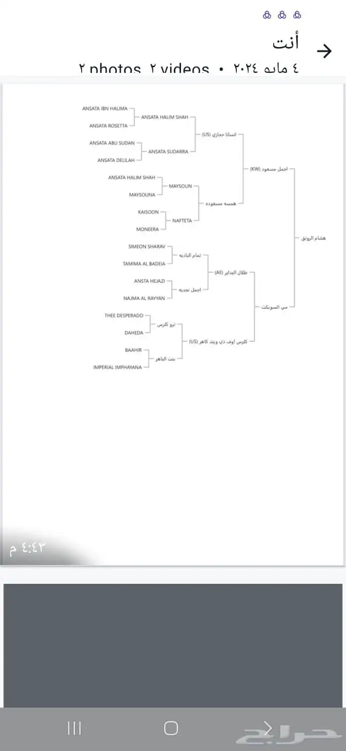 حصان 2