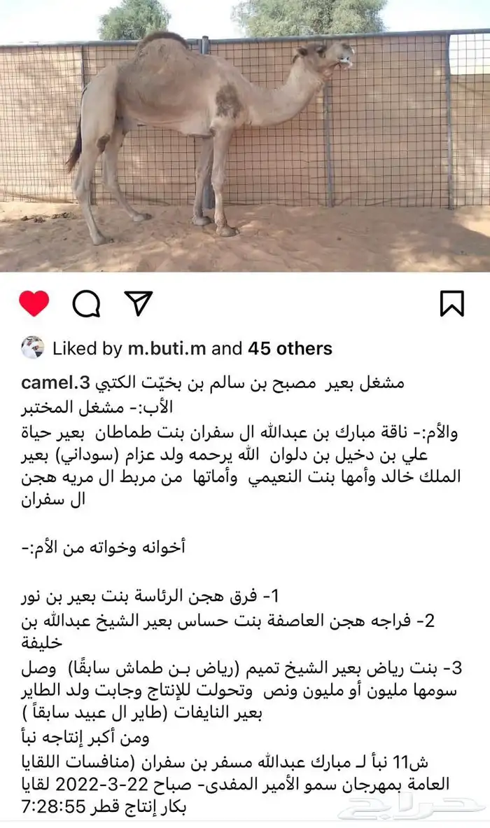 بكره هجن مفروده ضعط عالي 5