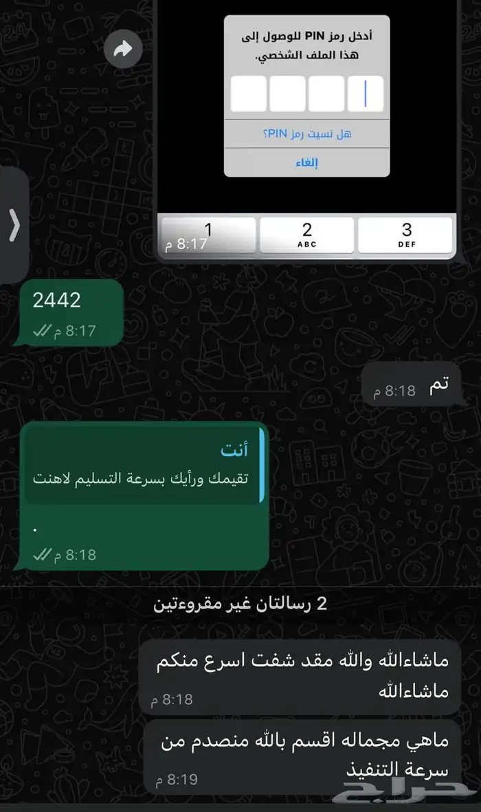 اشتراك شهر نتفلكس 13