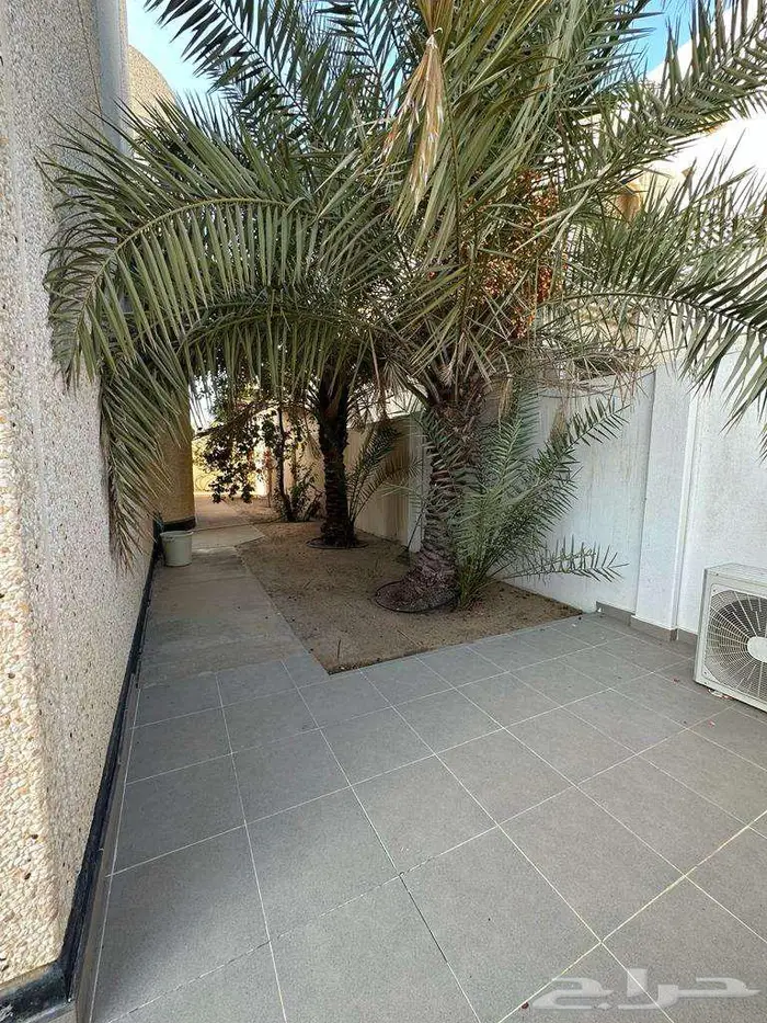 فيلا للبيع من بيوت شركة الرازي بالفيحاء ( مساحة708م) 9