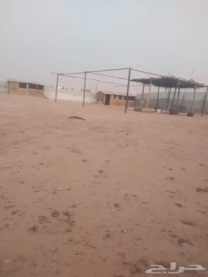 غرف خشبيه للحلال وكشافات بالطاقه الشمسية 1