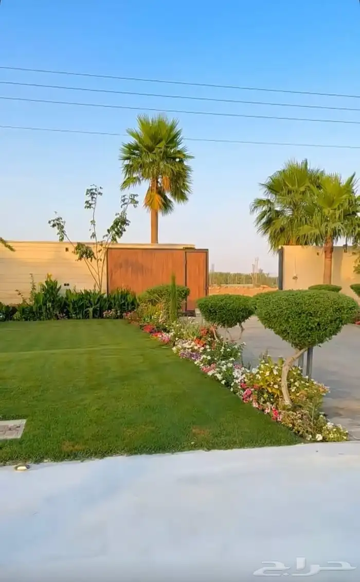 تنسيق حدائق قص تزيبن نظافه نخل اشجار كل انواع الزراعه 3