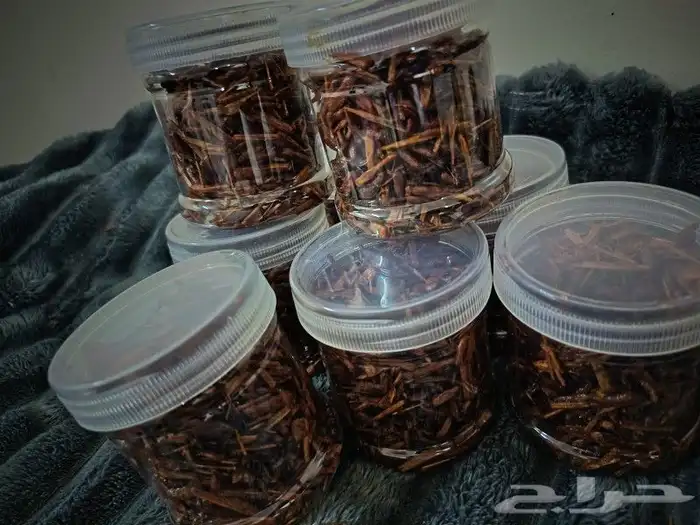 بخور صندل معتق وجميل 1