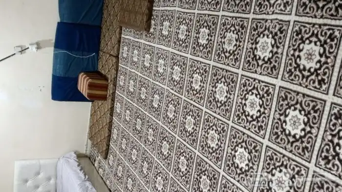 سجادتين وكنب وثنين دولاب جنب السرير بدون سرير 3