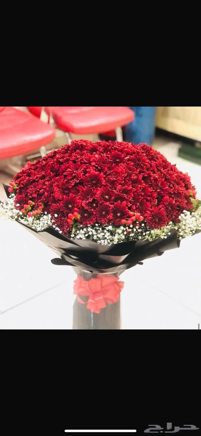 معلم ورد بنقالي 8 سنوات خبره 0