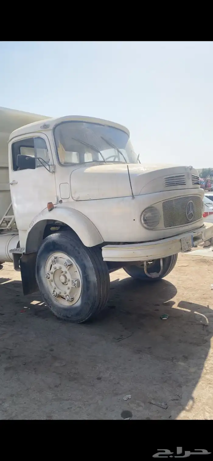 عايدي مديل 81 0