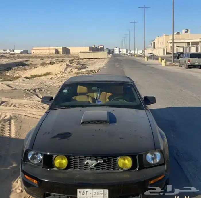 موستنج 8