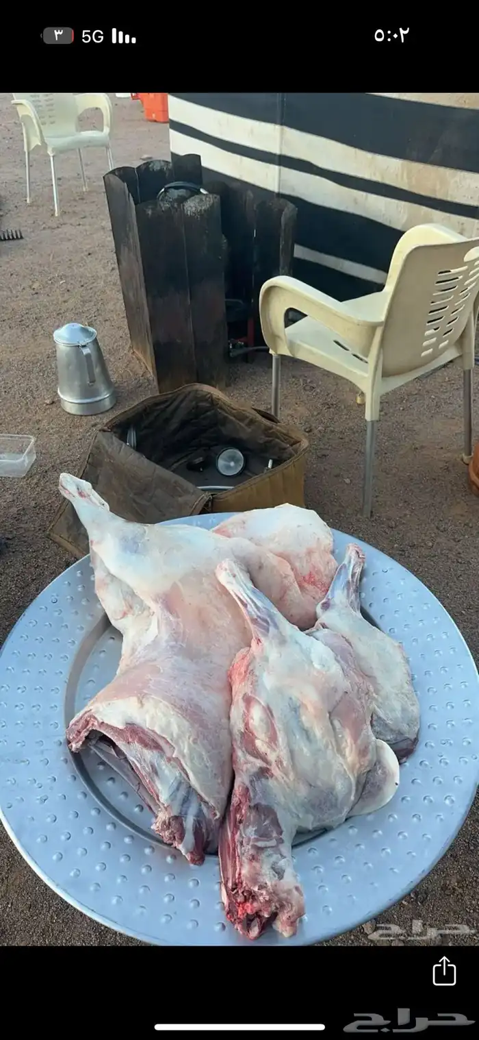 ذبايح 1