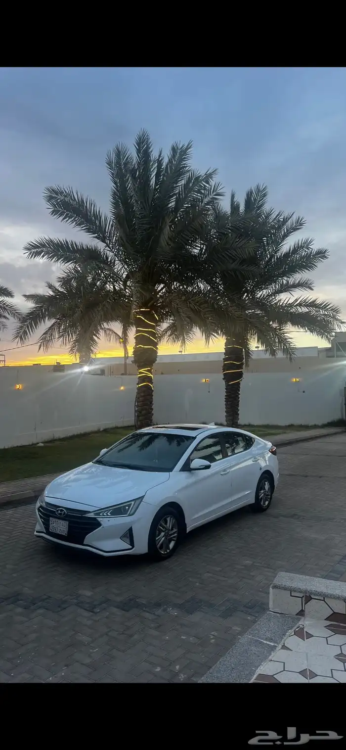النترا 2020 نص فل 0