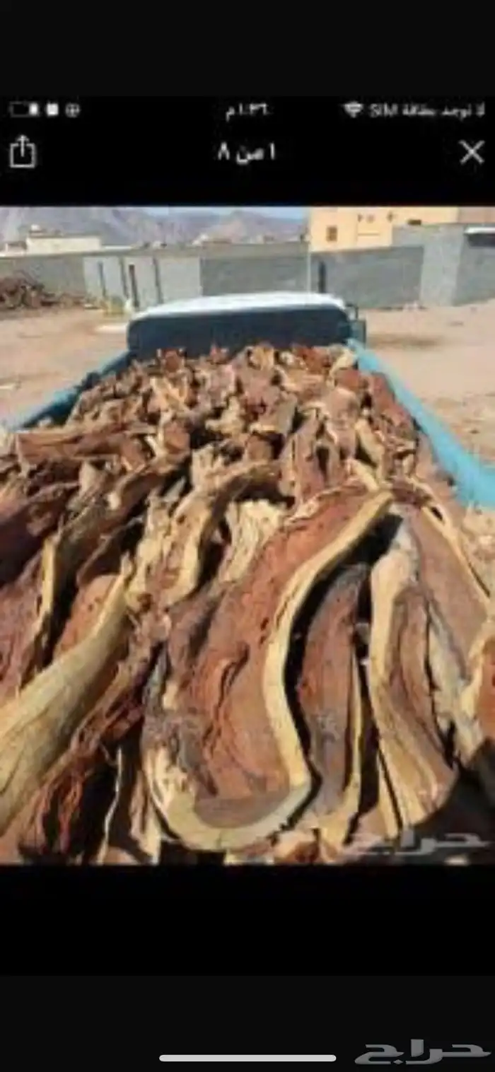 دينا للبيع 2