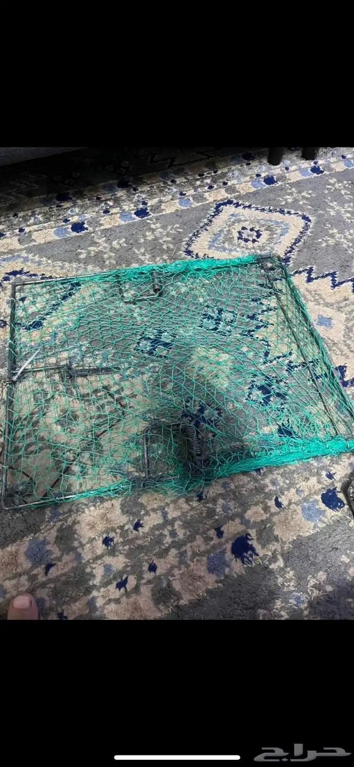 مصيده طيور 0