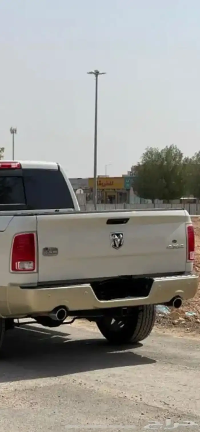 رام لوينيق هورن 2017 للبيع 8