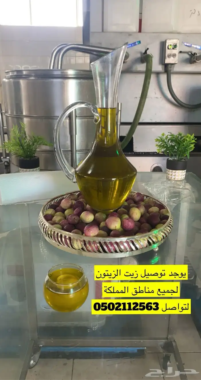 زيت زيتون السنه هاذي يوجد لدينا توصيل لجميع مناطق المملكة 0
