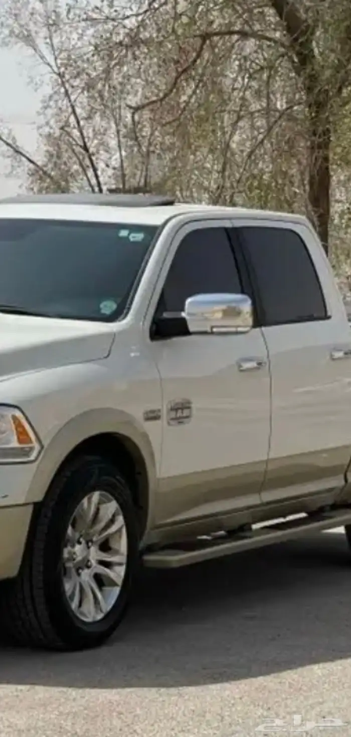 رام لوينيق هورن 2017 للبيع 4