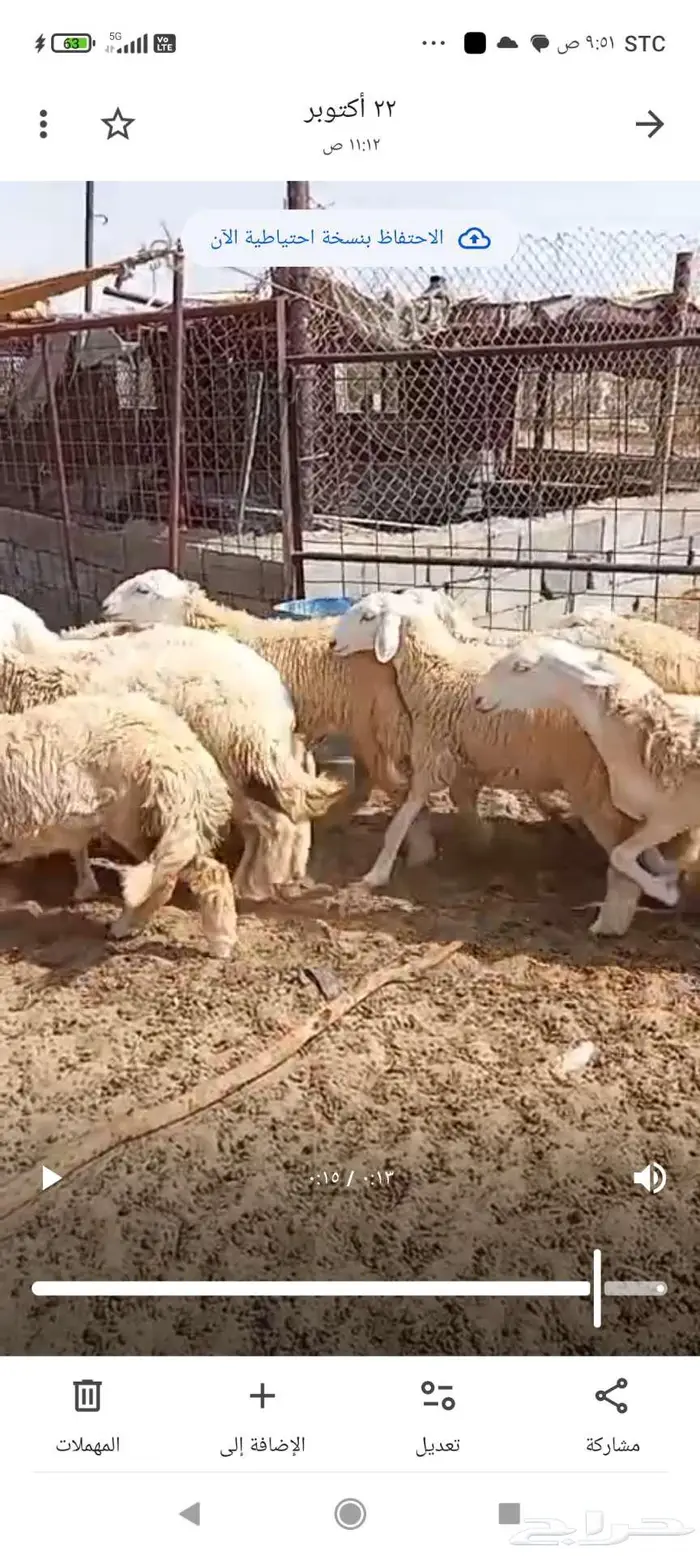 للبيع لكزس رخال حريات صنف 0