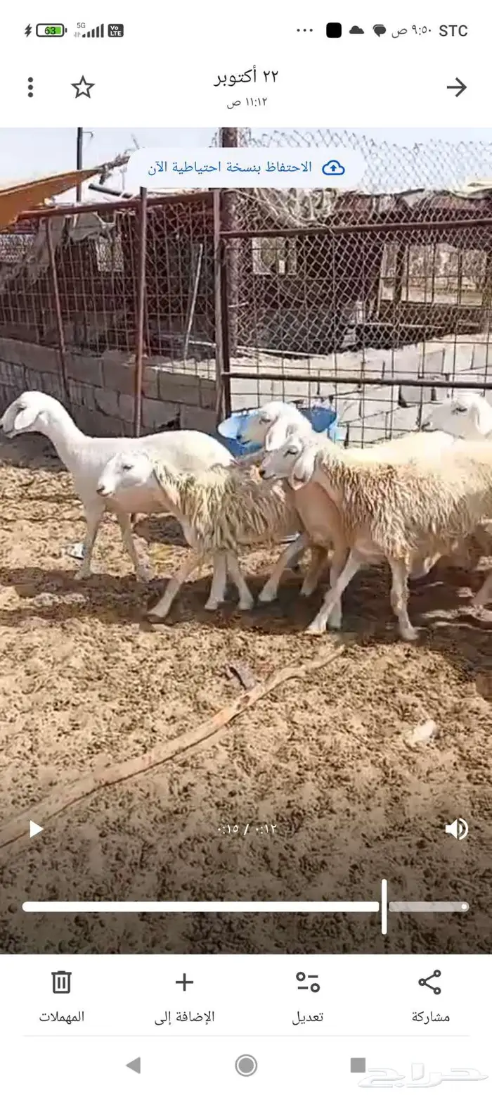 للبيع لكزس رخال حريات صنف 1