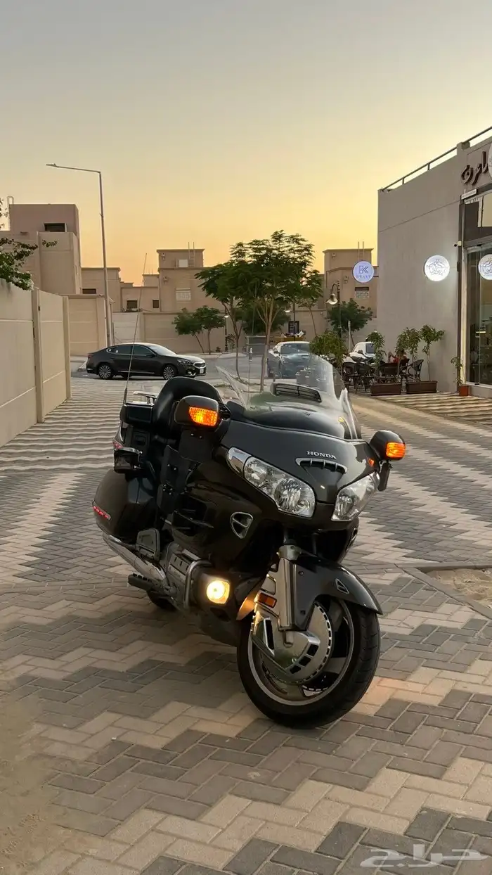 الدباب قولدوينق 2010 8