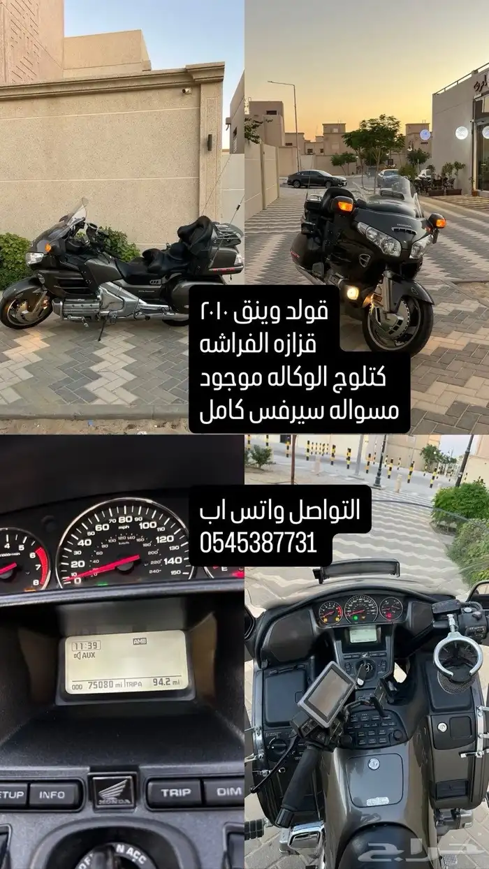 الدباب قولدوينق 2010 10