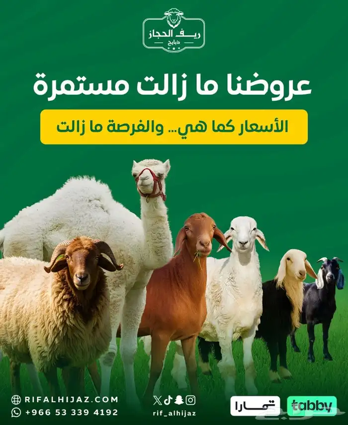 لحوم بلدي وطازجة وعلى الشرط 1