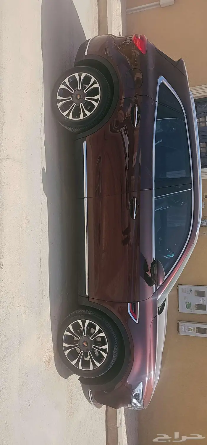 انس بن نالك الملقا 6