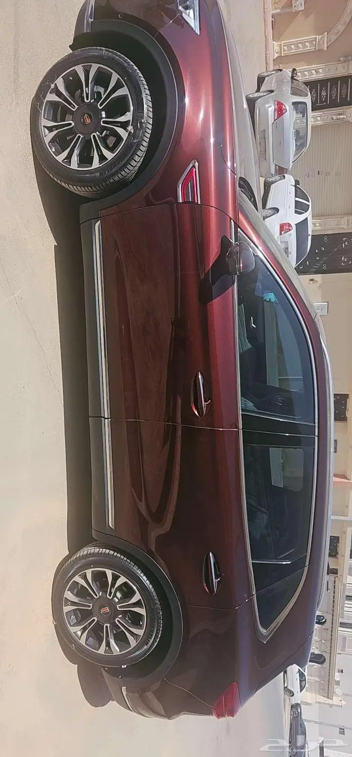 انس بن نالك الملقا 3