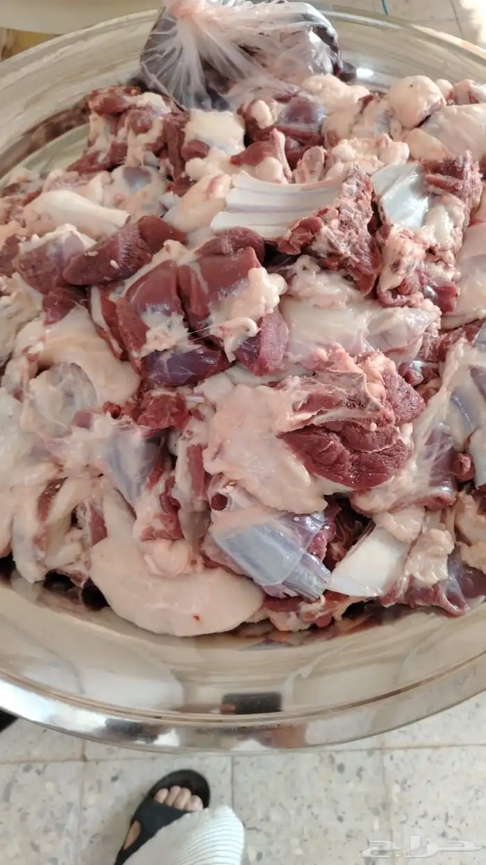 سواكن شبيه الحري 4