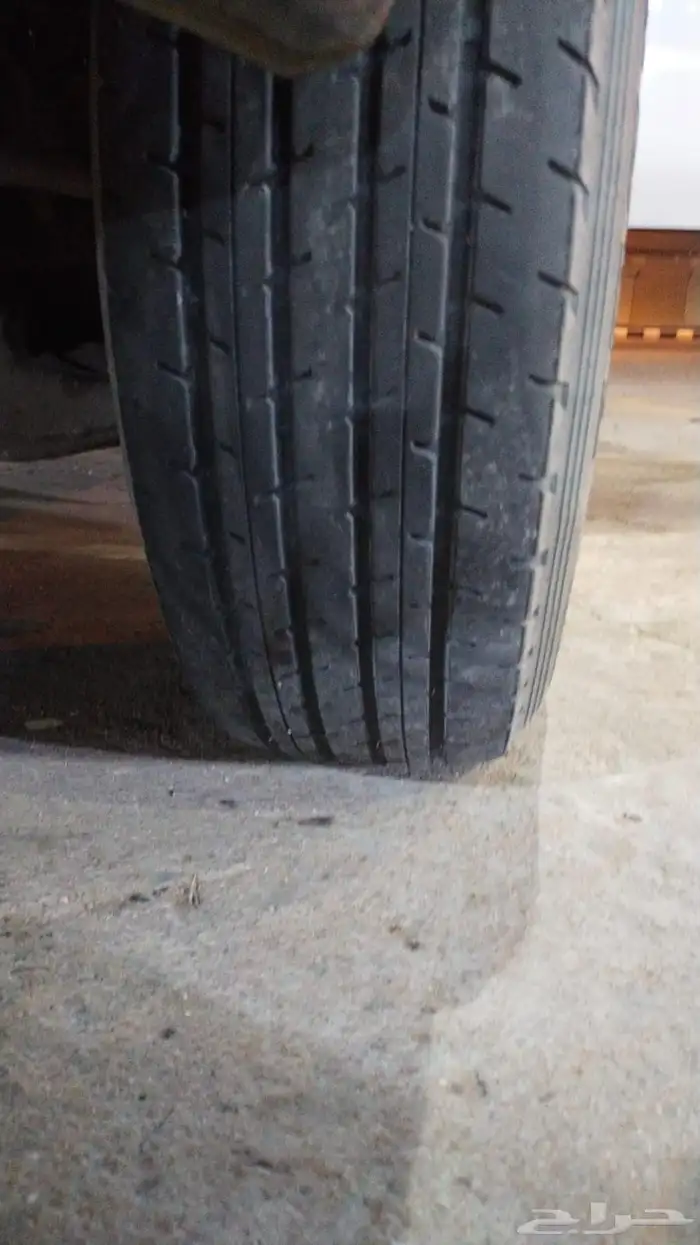 جنوط هلل وكفرات شواهين 4