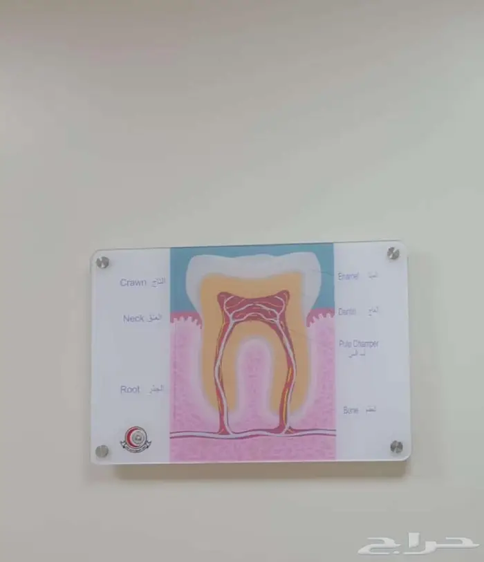 لوحات للمكاتب والمواقف وارقام الشقق والفنادق والمصانع 28