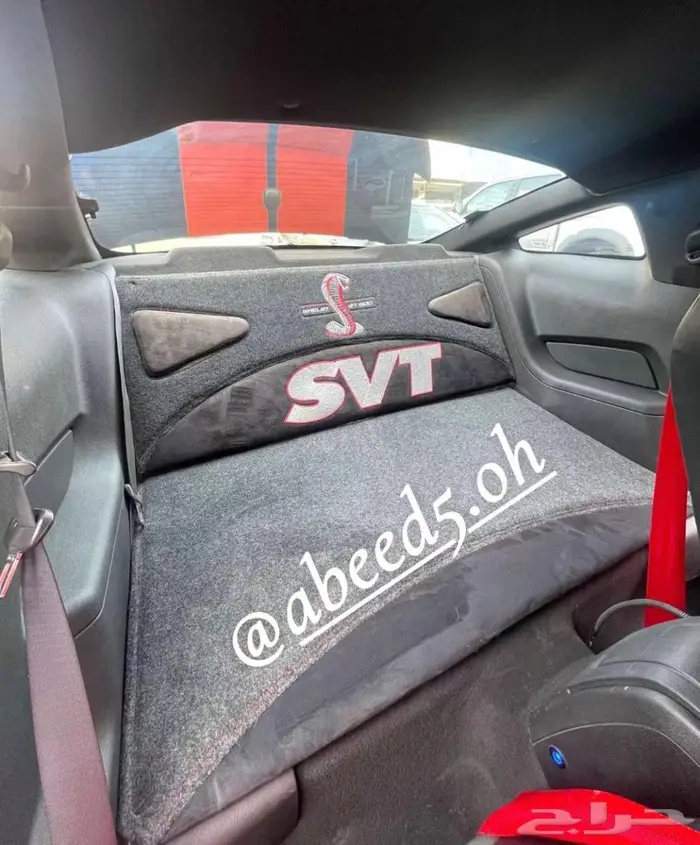 Shelby 2010 3