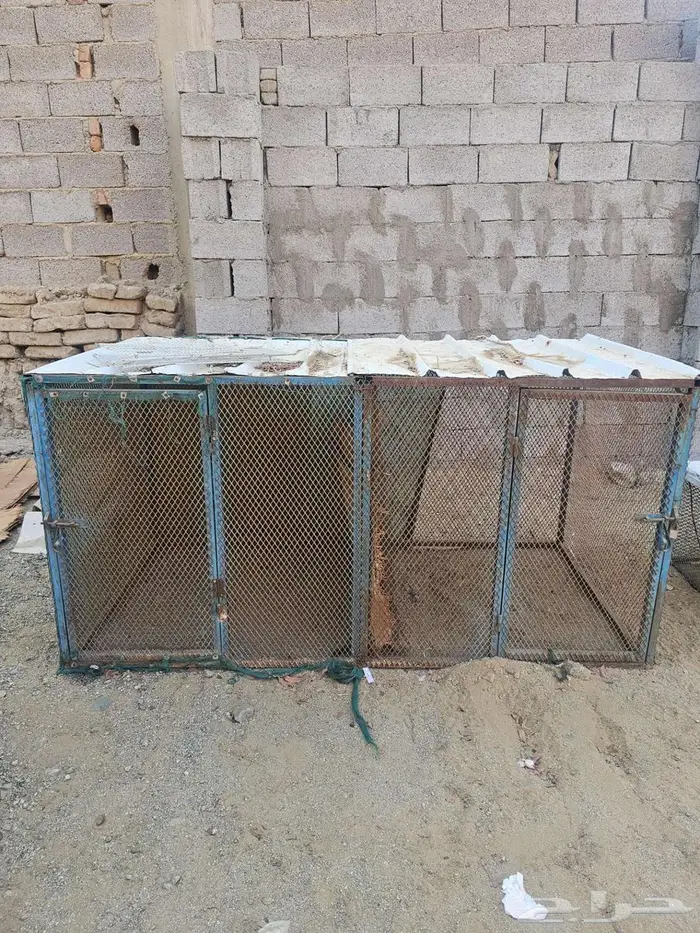 اقفاص دجاج للبيع 1
