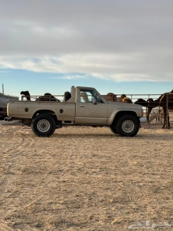 شاص نيسان 96 0