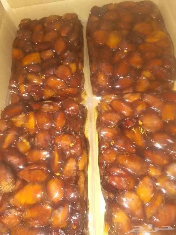 القصيم البكريه 0