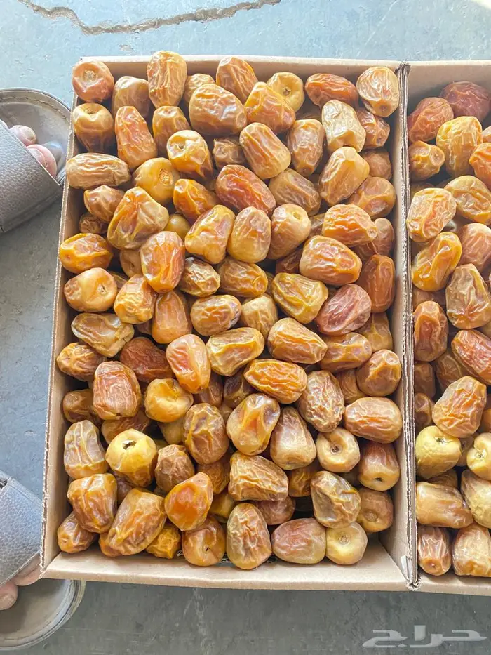 موجود سكري مفتل بسعر بسيط الكميه محدوده 0