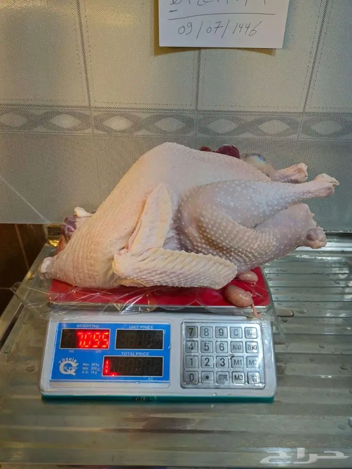 ديك رومي ذبح طازج 2